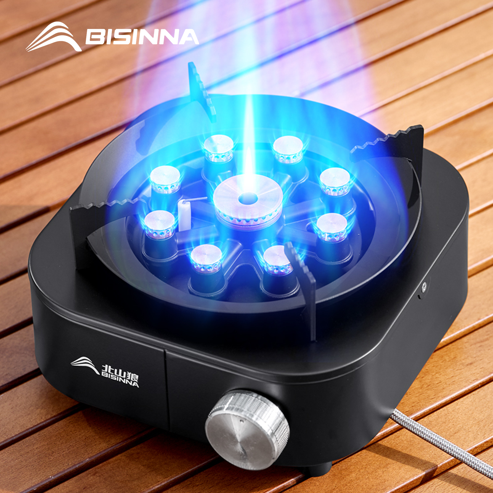 BISINNA Portable Camping Gas S - Outdoor Gas Camping Oven recensie en prijs